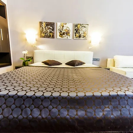 Matei Corvin Apartment Cluj-Napoca